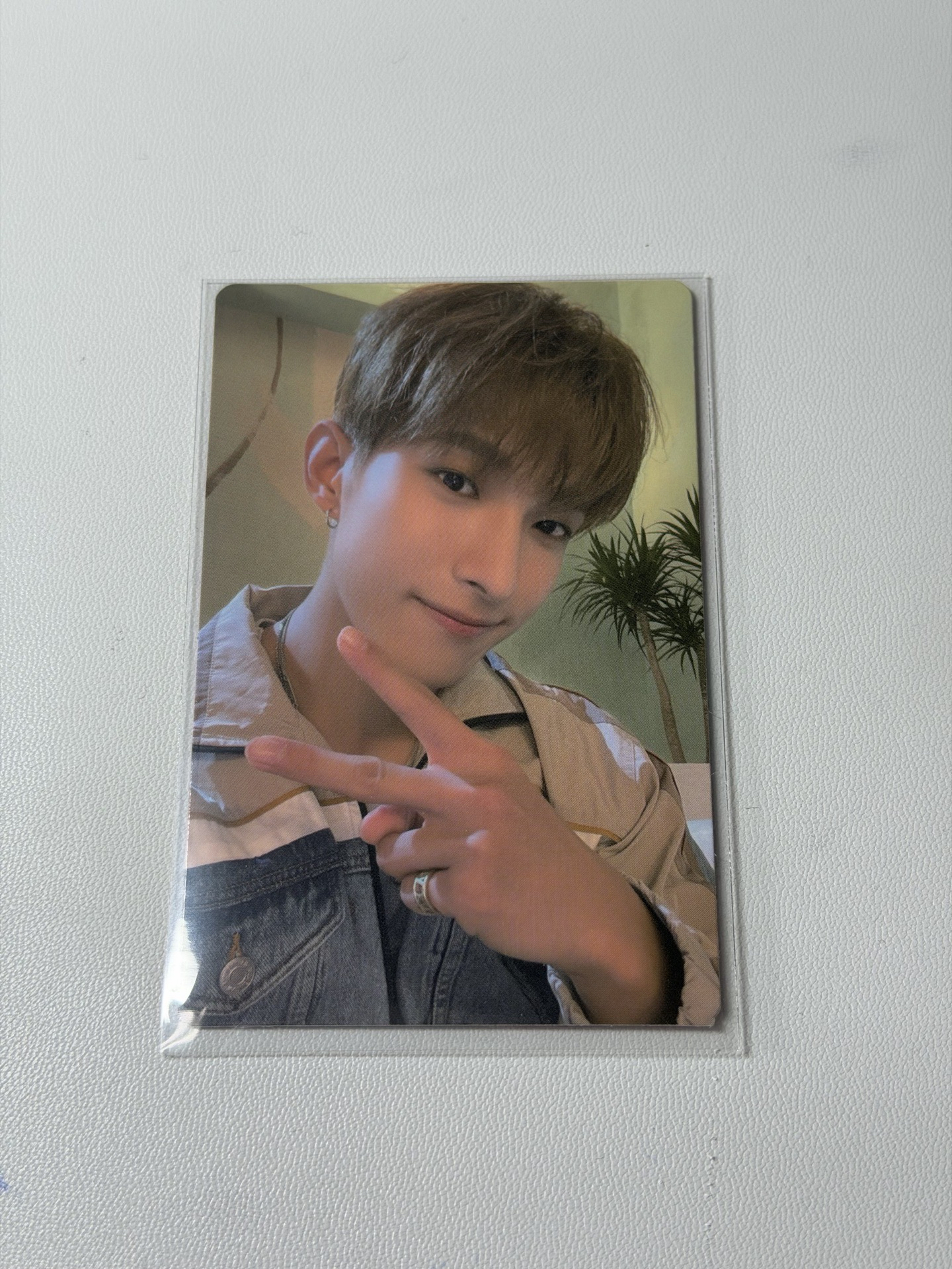 迷九 克拉盤隨機卡 碩