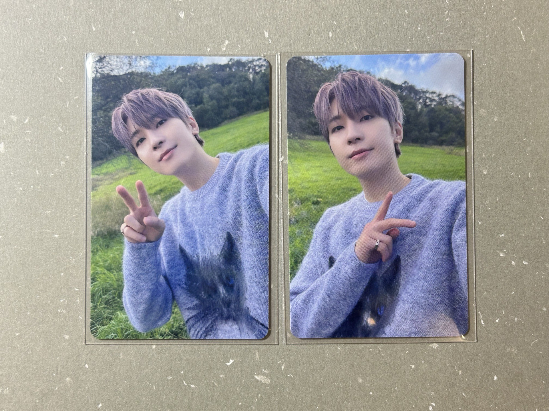 消費期限場限圓兩張