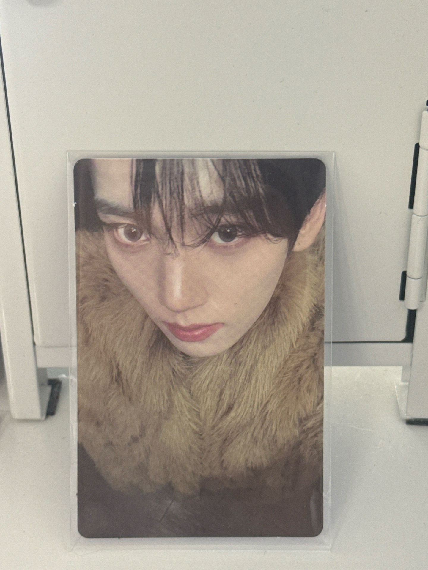 迷五 專卡辰 SEEK ver. 