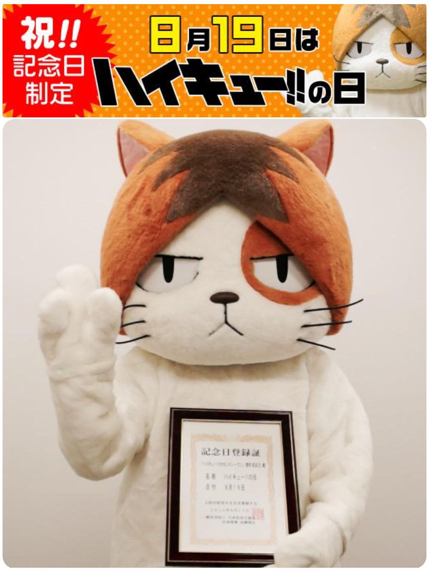 819 ハイキュー!!の日