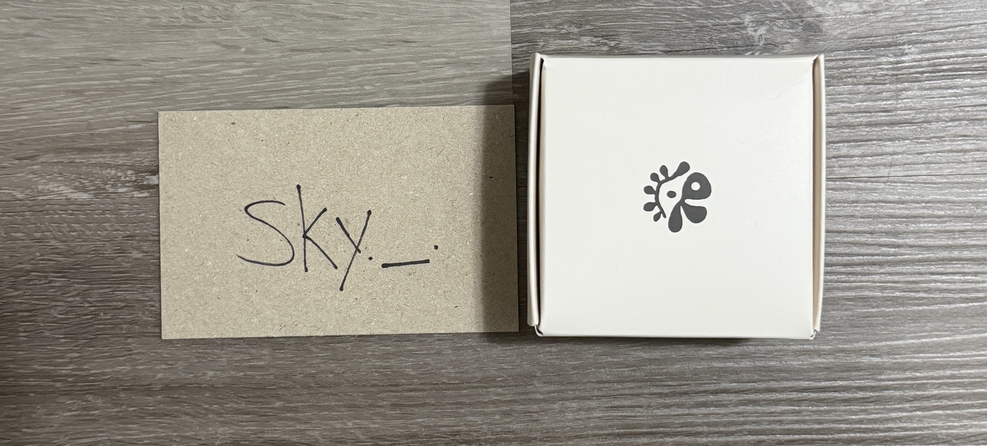 手鍊當初在WVS下單