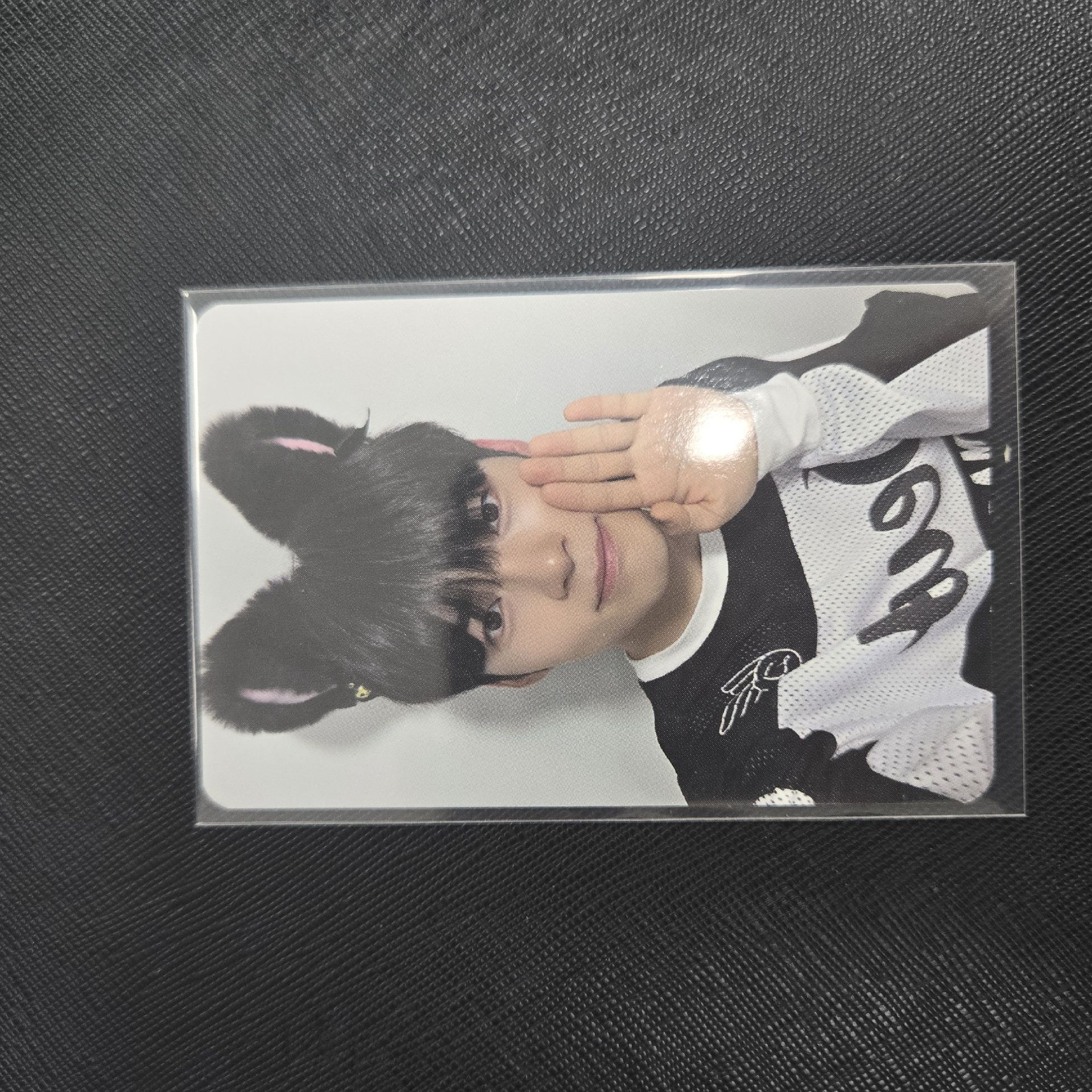 成韓彬迷一貓耳