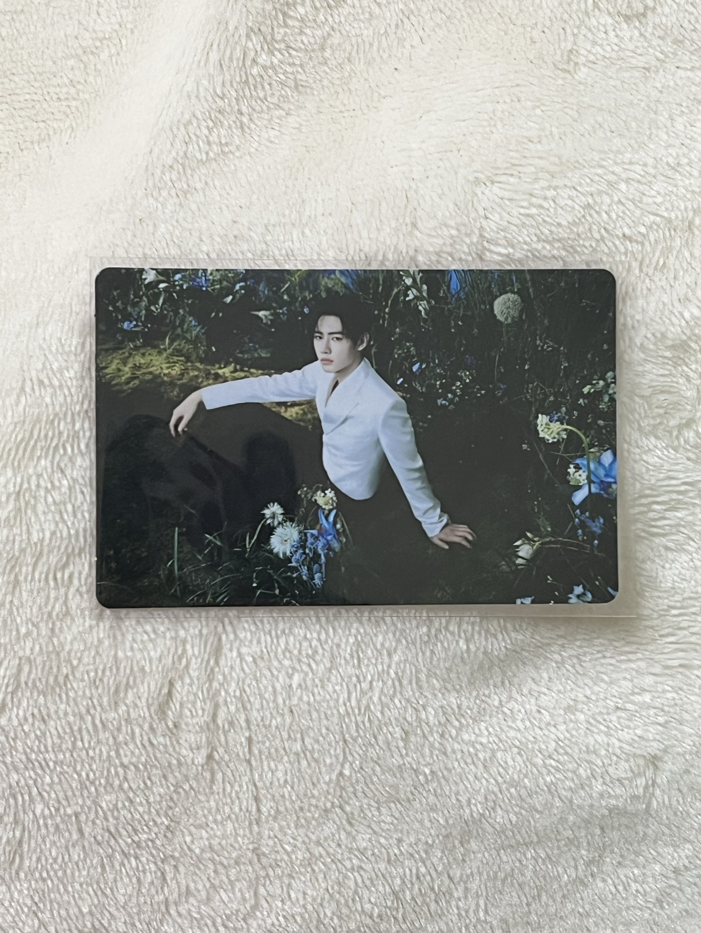 ENHYPEN 韓安場週小卡