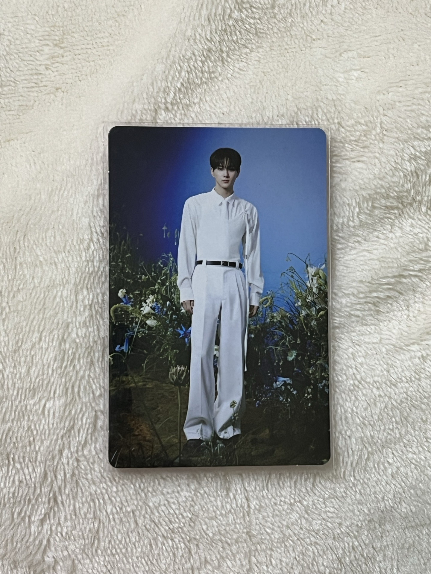 ENHYPEN 韓安場週小卡