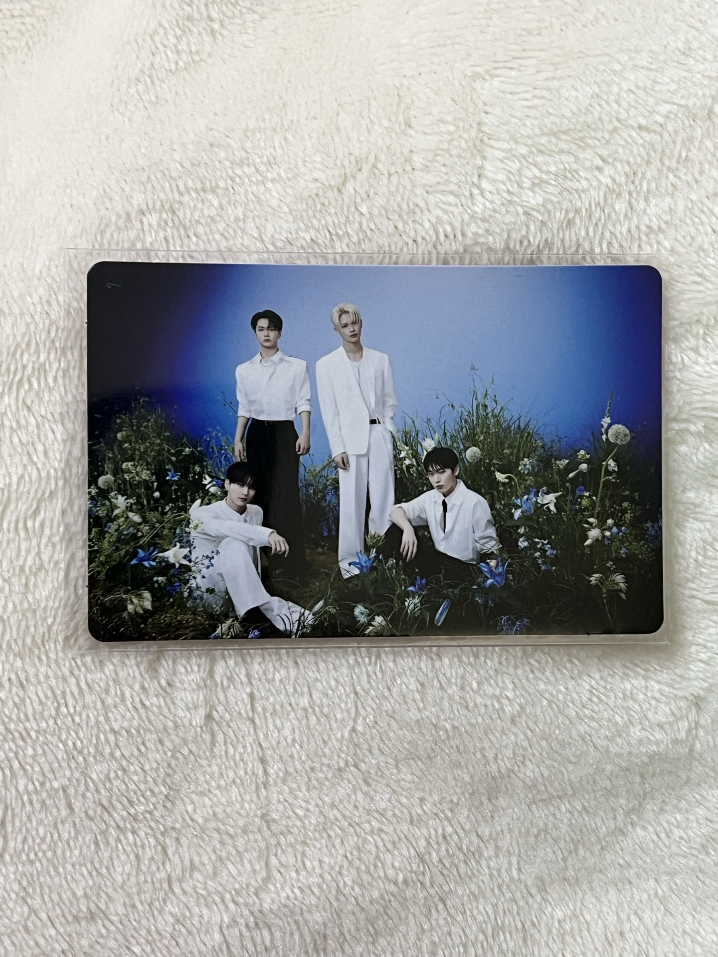 ENHYPEN 韓安場週小卡