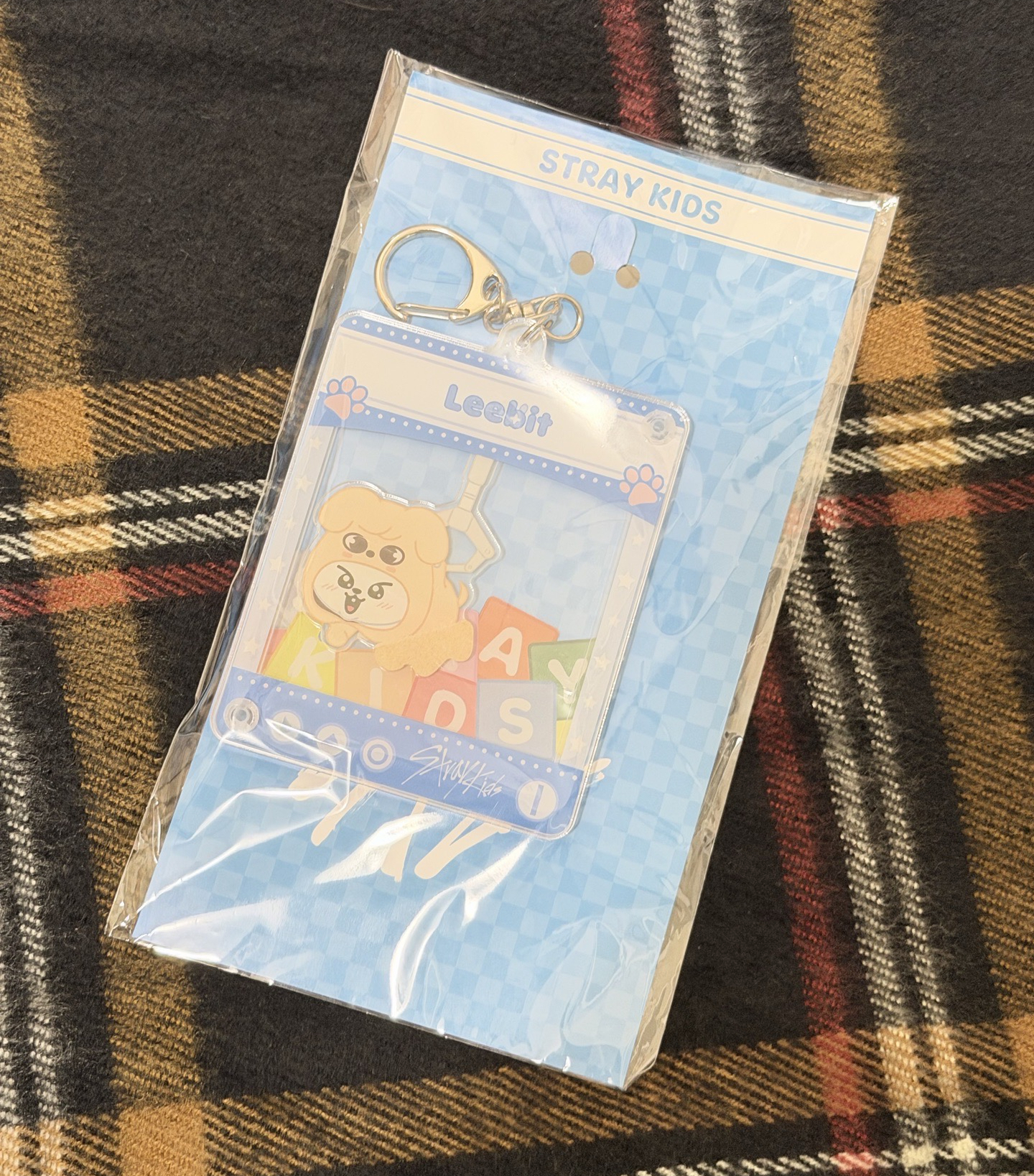 Stray kids Toy World吊飾 李畢