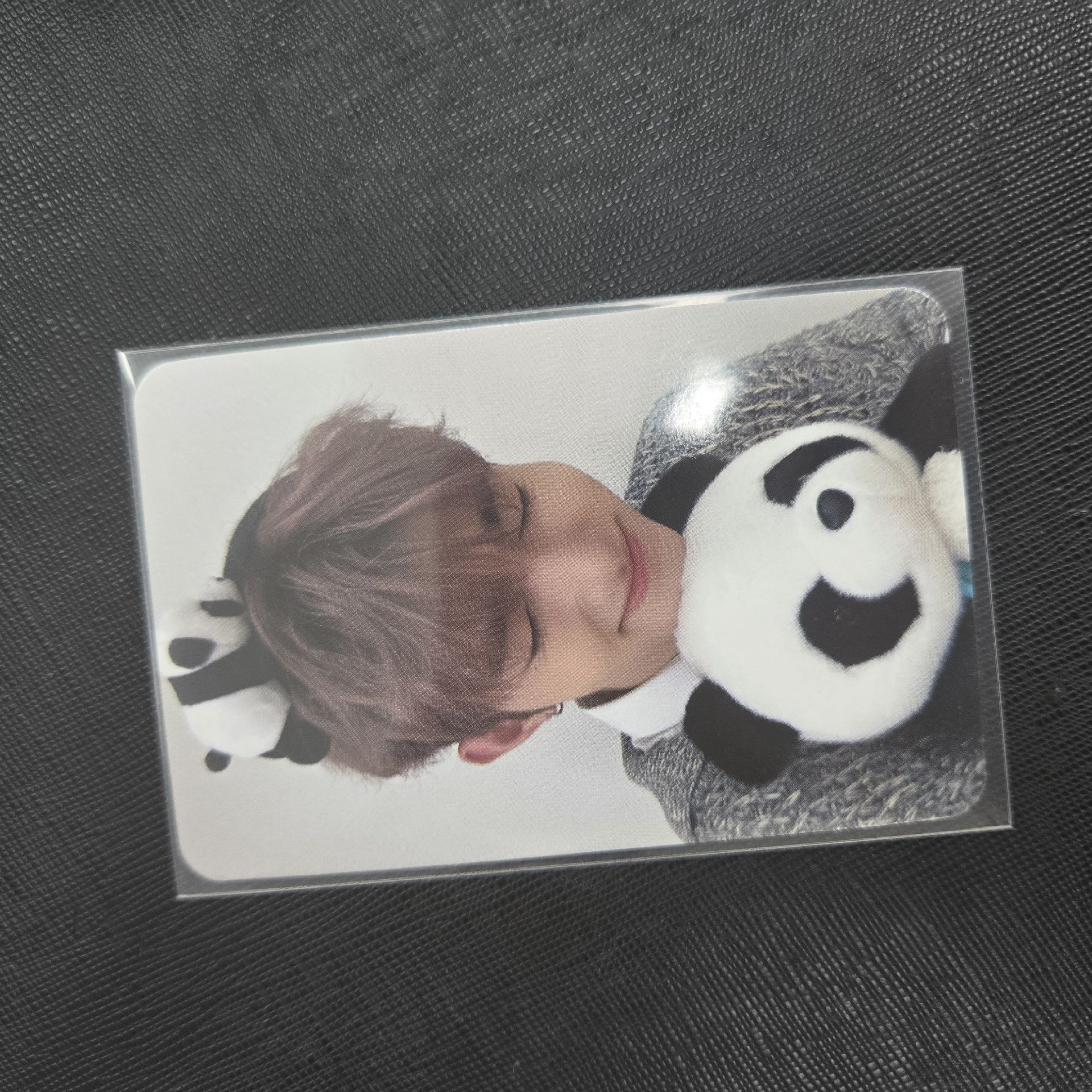 章昊迷三am熊貓