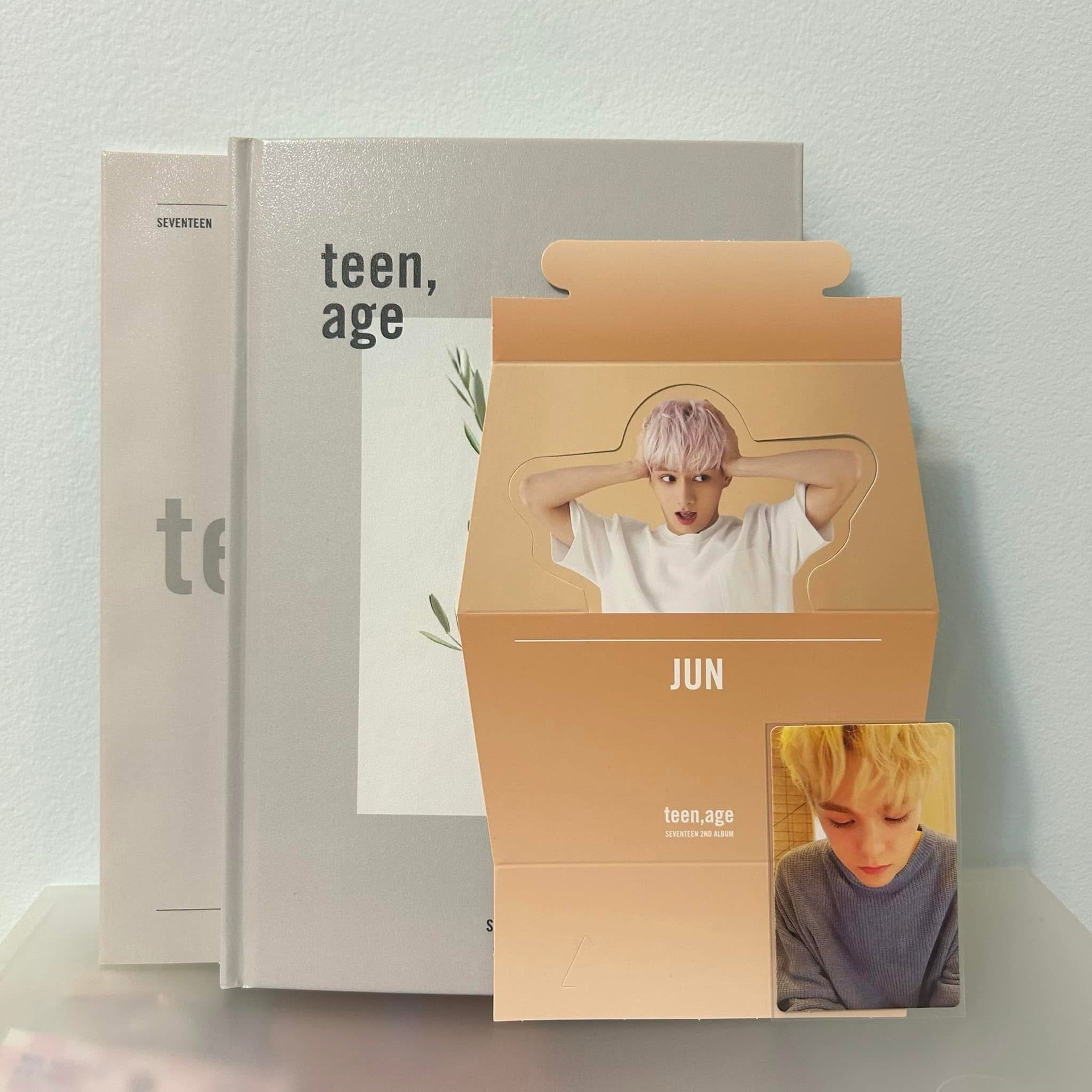 正二白版 崔瀚率 全專