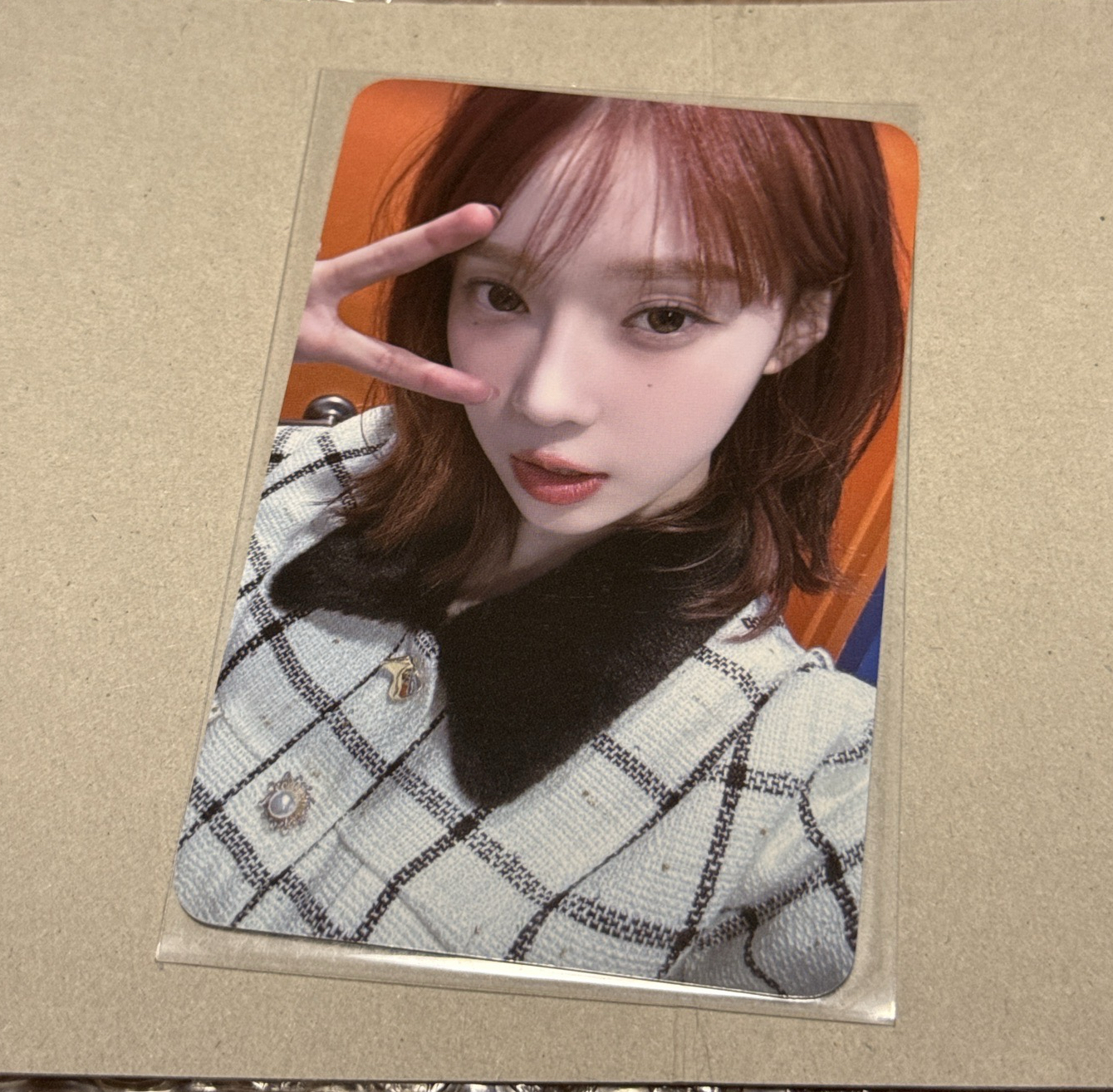 Drama el 簽售卡 小樹杈冬