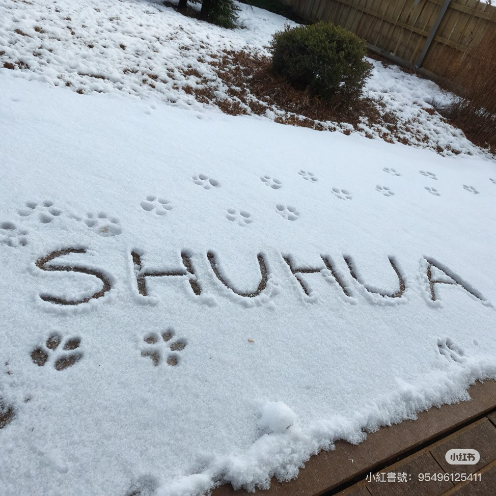 毛毛の小鋪（勿直拍年後出貨）
