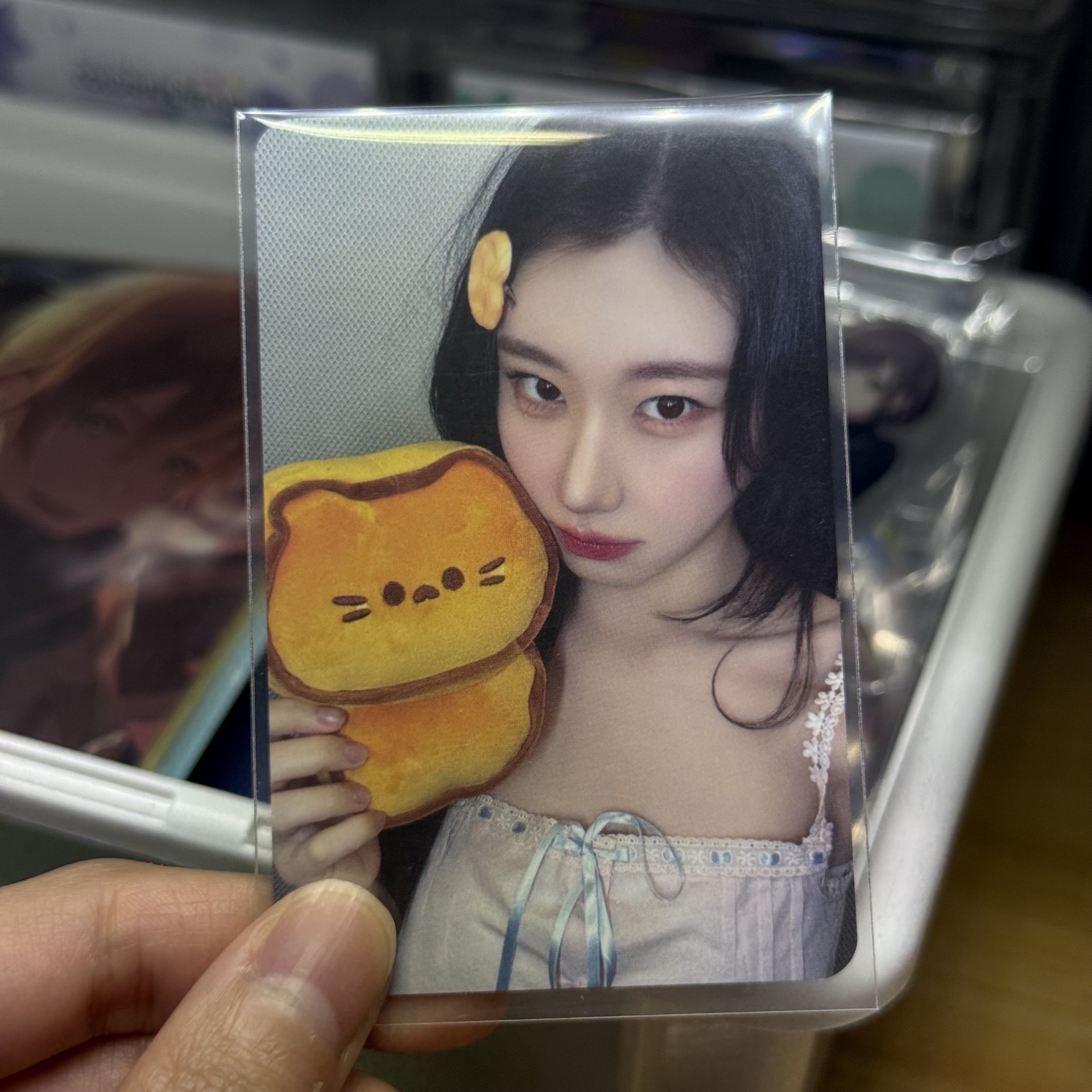 ITZY ms台北簽售領 麵包貓貓