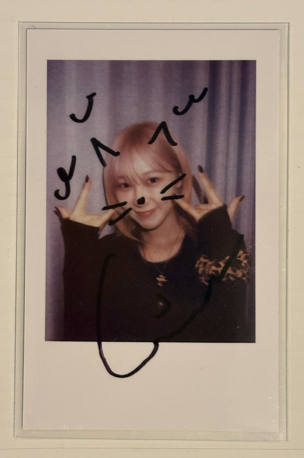 貓貓拍立得吉💝