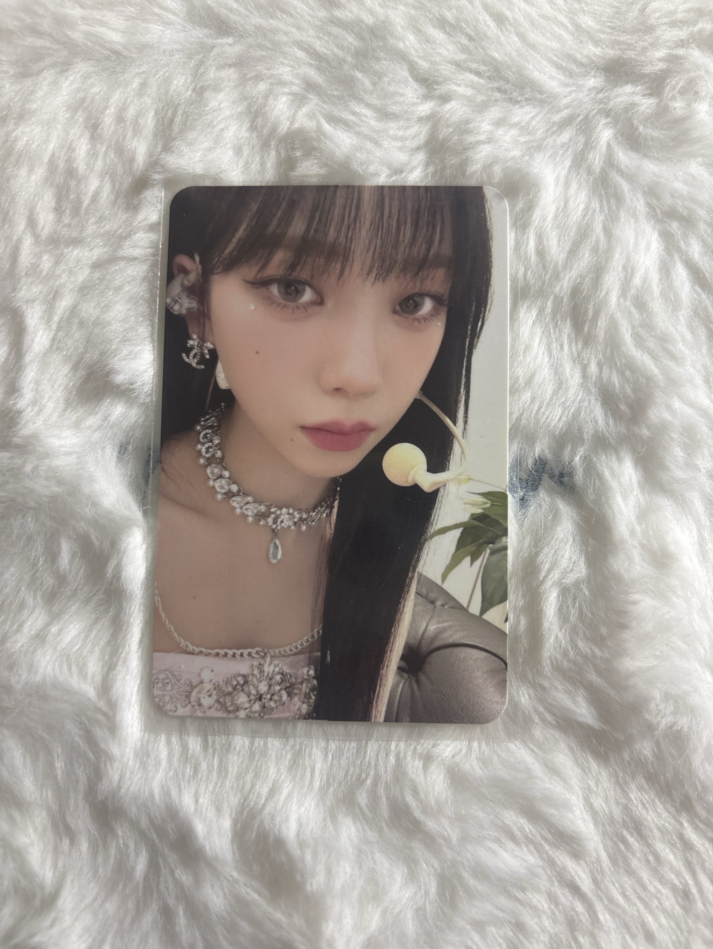 需多帶 三周年 周邊卡 投影儀柚