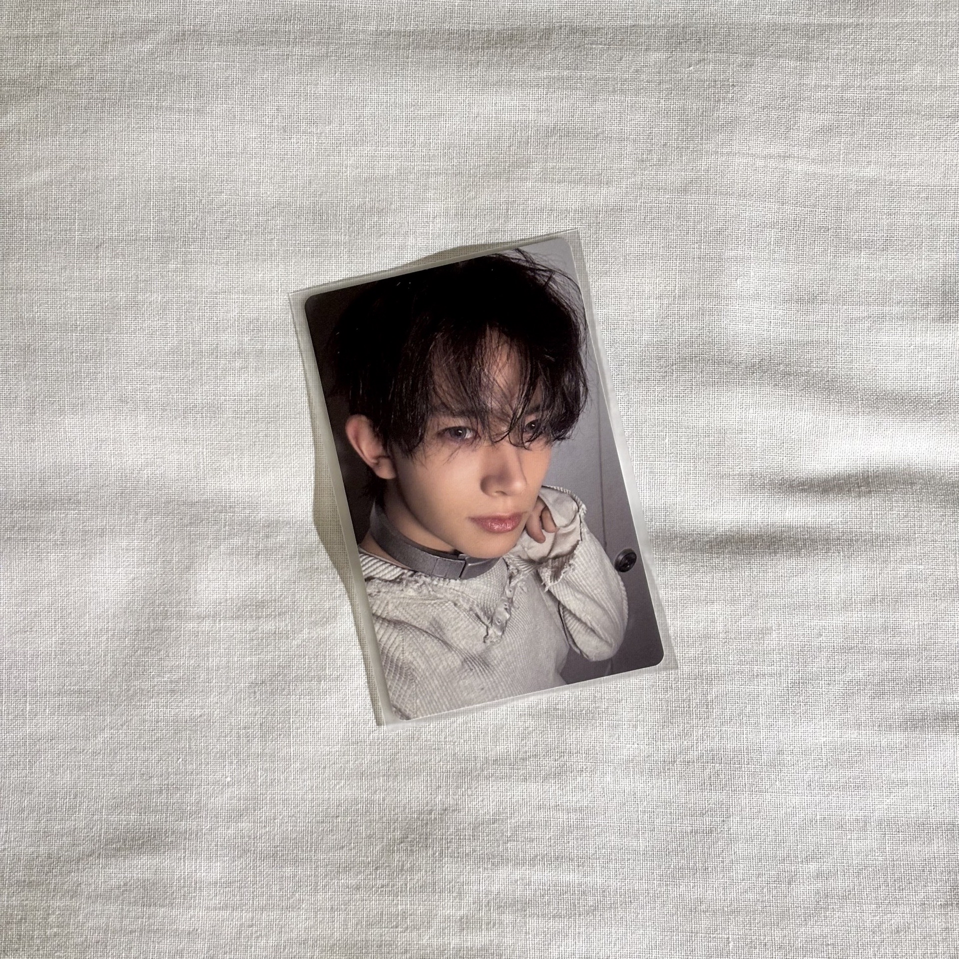 羲 迷六單封特典