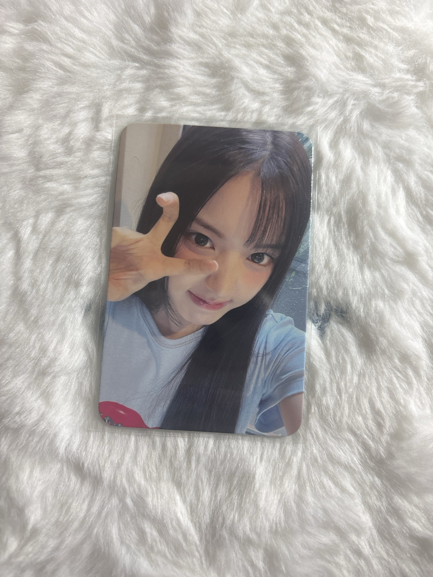 需多帶 仲夏夜 dmm 特典卡 預售友