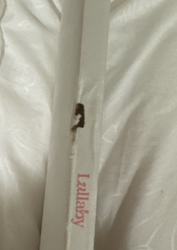 送物(有下單其他東西就可以加購！）