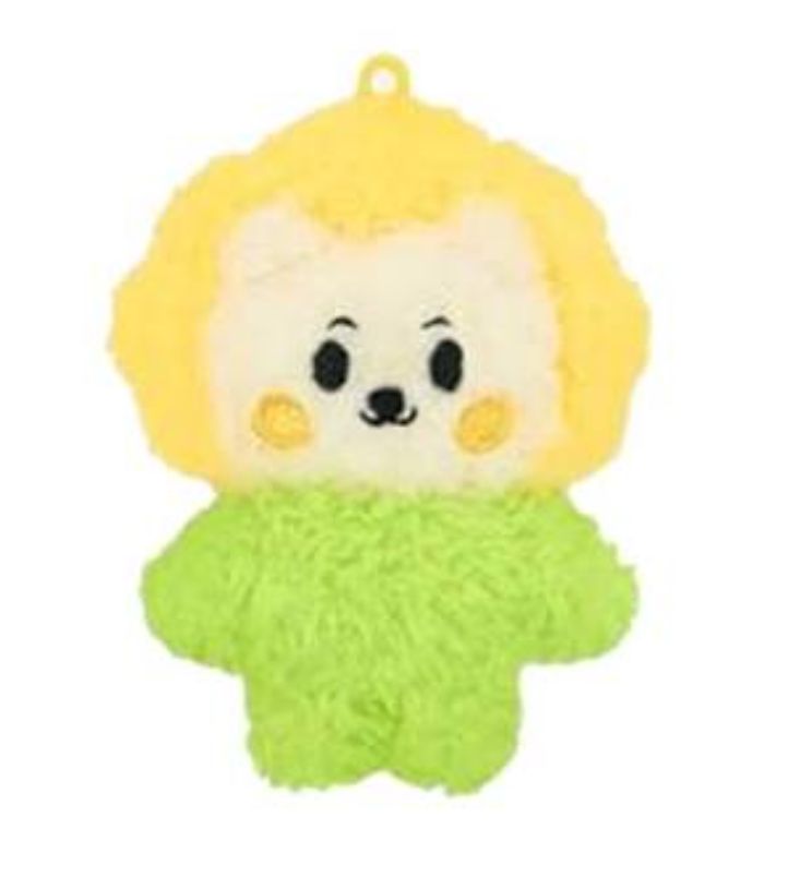 現貨不綁‼️ NMIXX LILY 莉莉 小娃 FM官娃