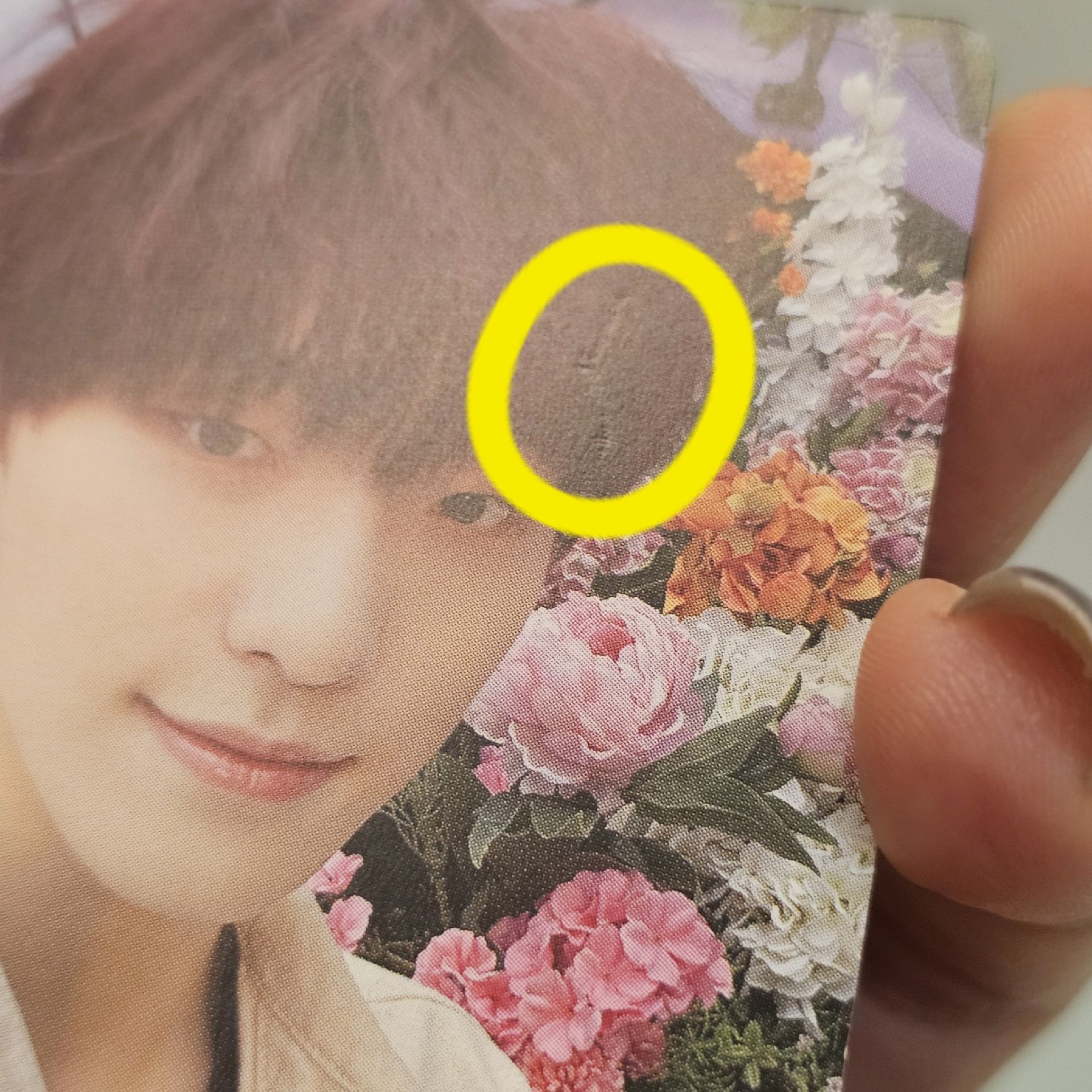 YOUR CHOICE HMV 感謝祭 花牆燦