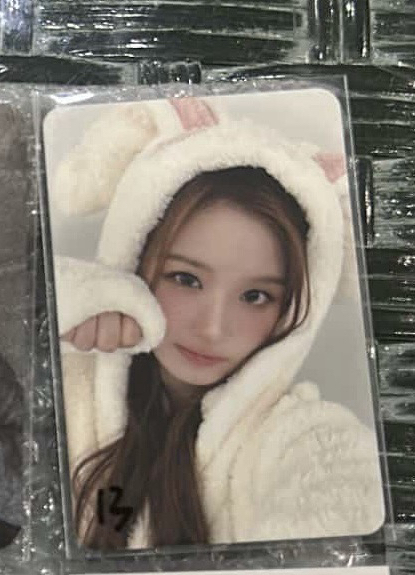 ms8.0動物睡衣薛