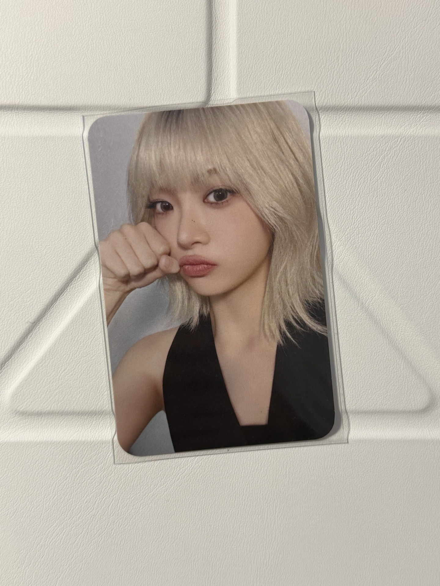 Le sserafim 數星星採（中背）