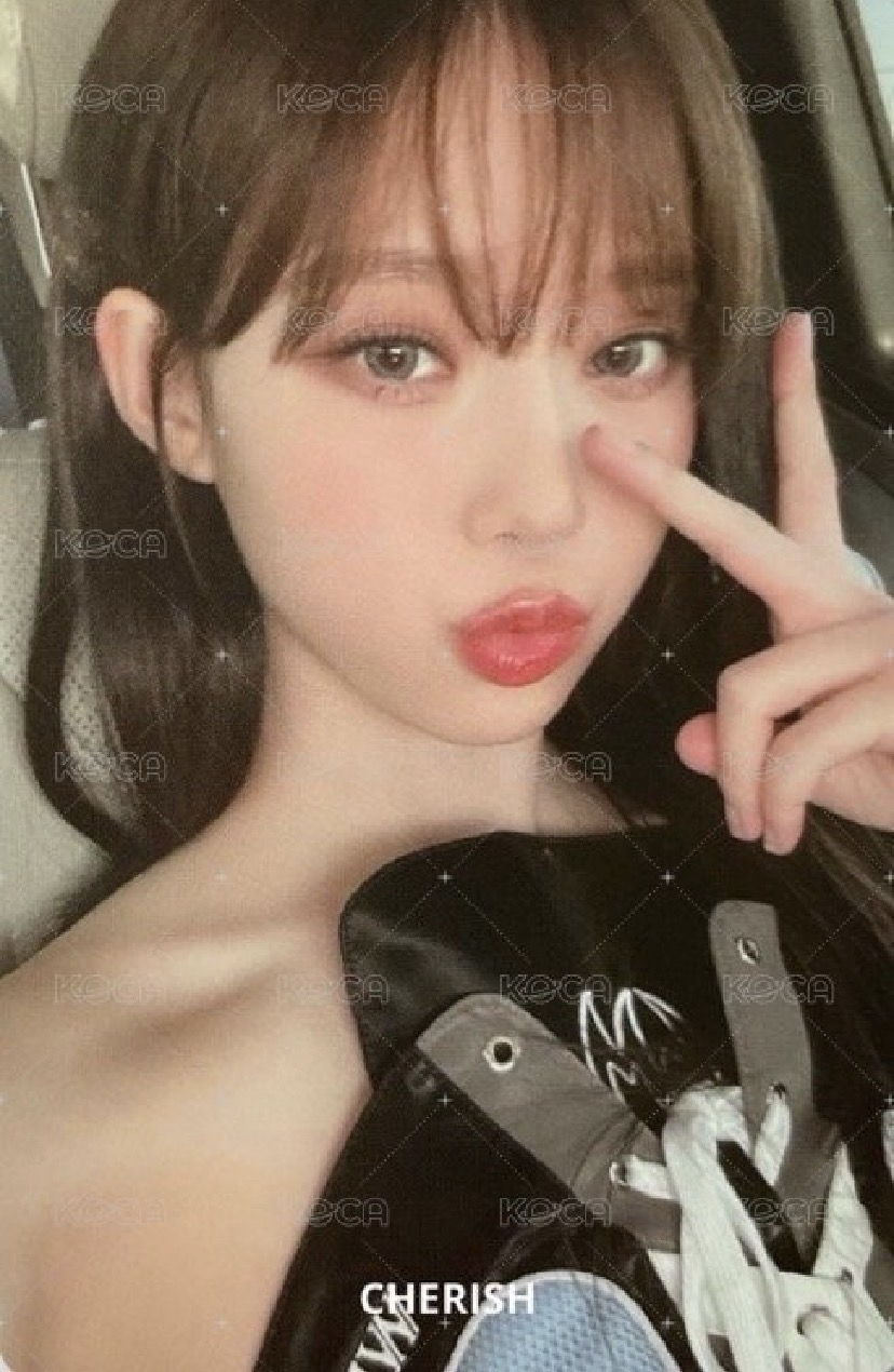 ［直出］紫包冬