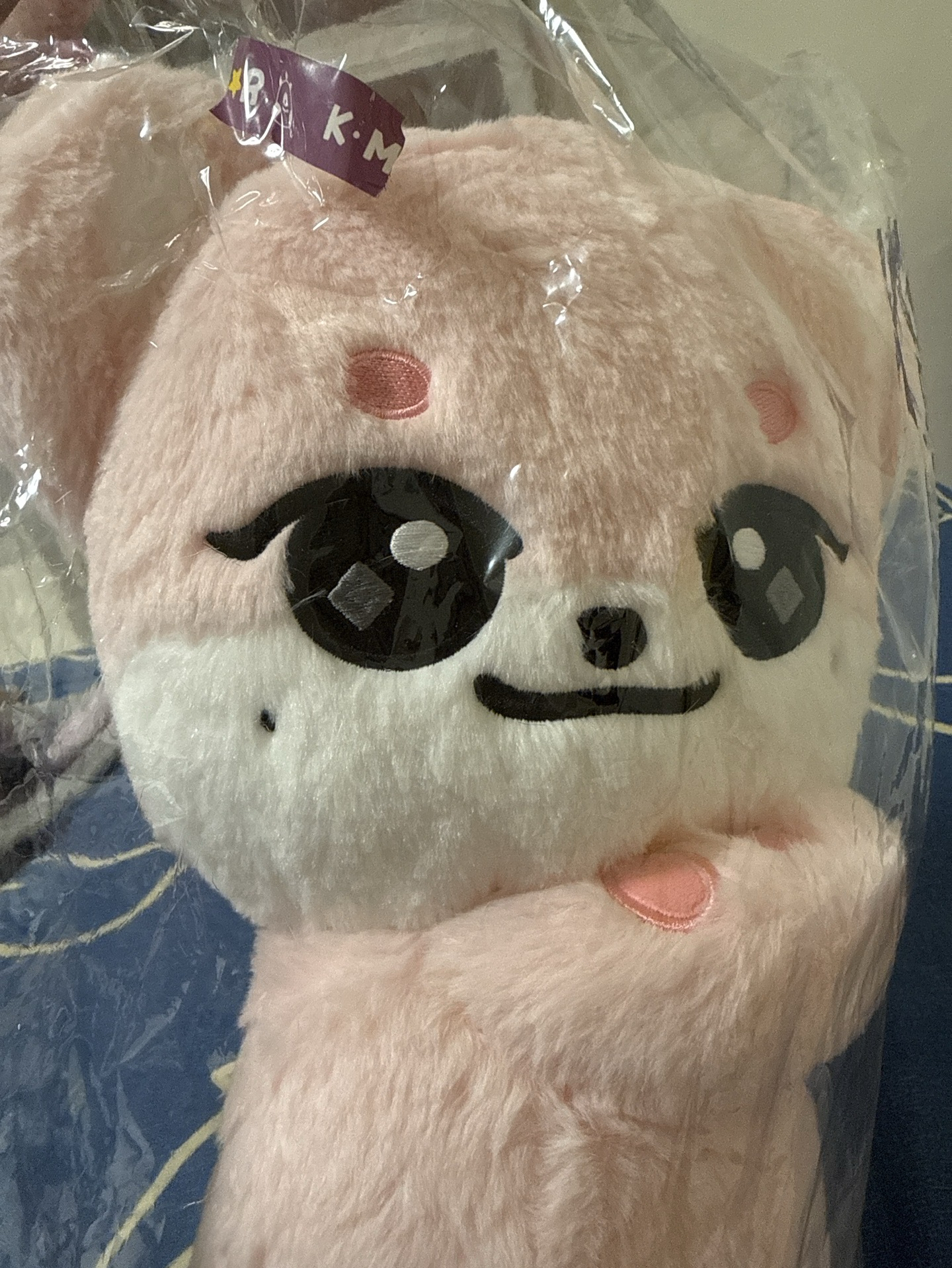 全新未拆瑞娃側背包