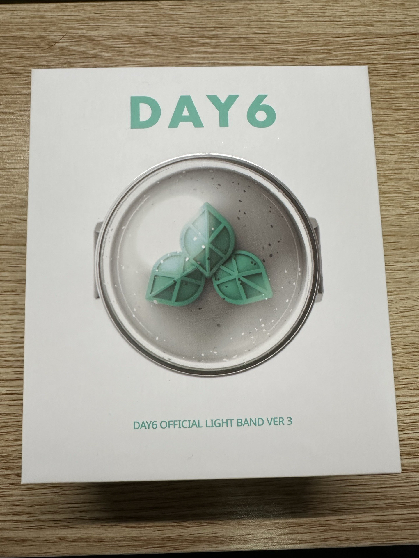 Day6 第三代手燈 二手