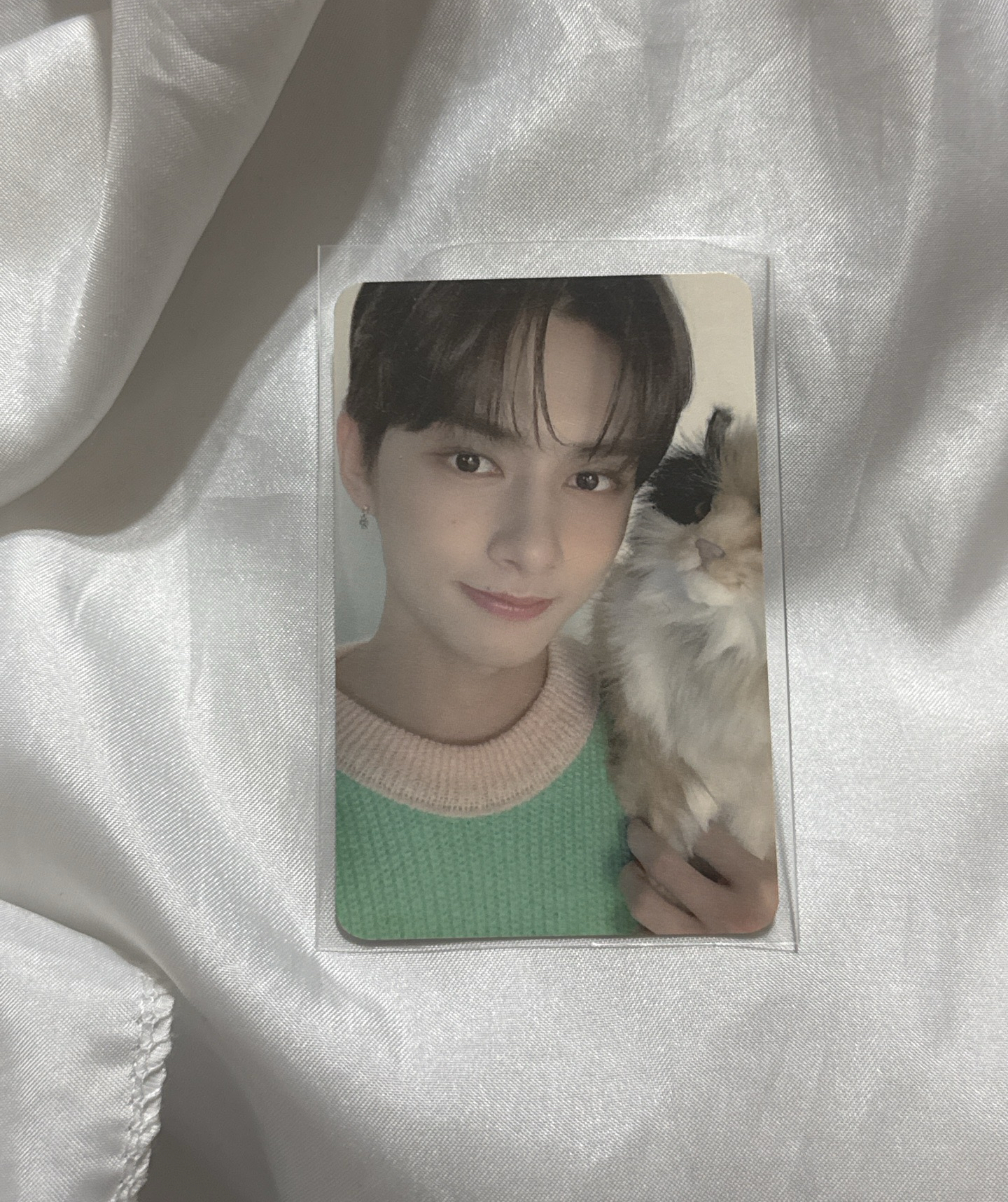 抱貓俊—20‘年曆 年曆卡 卡