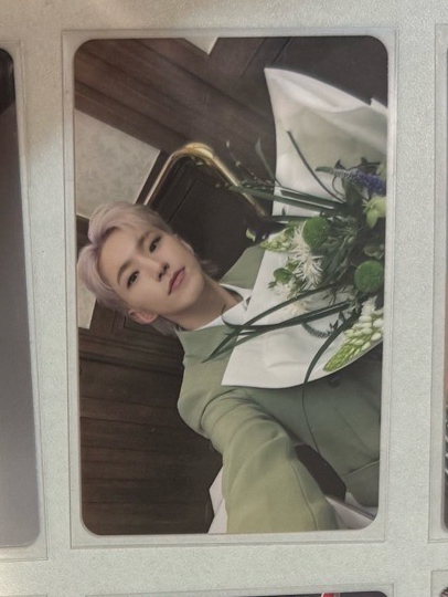 ✅懇請帶我回家