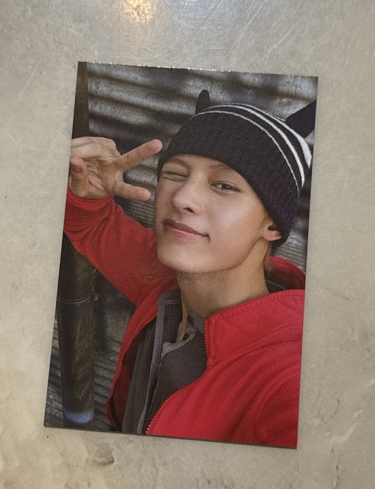 凡wvs年曆特典卡