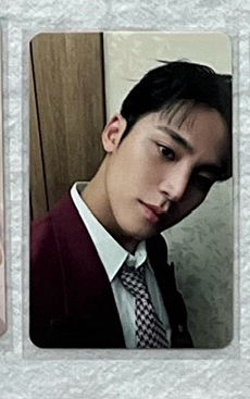 🐶奎迷12克拉盤隨機卡