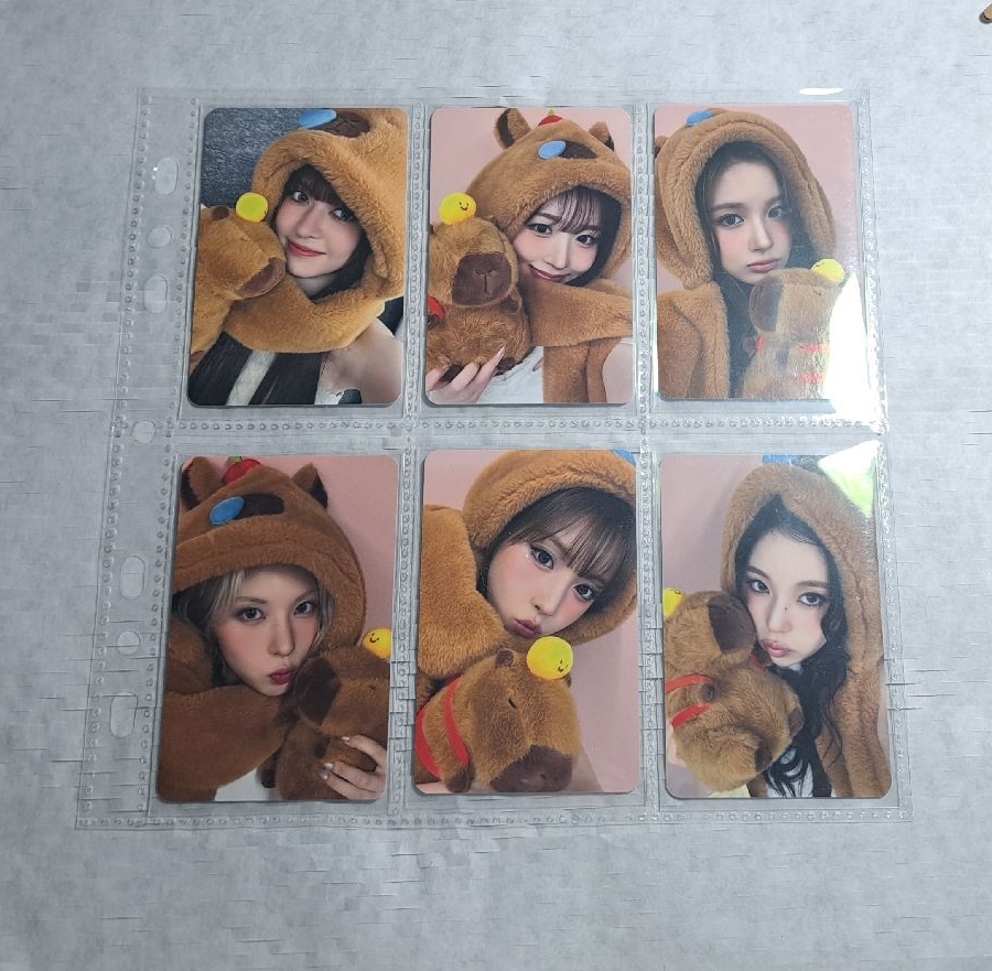 MS9.0 卡皮巴拉一套