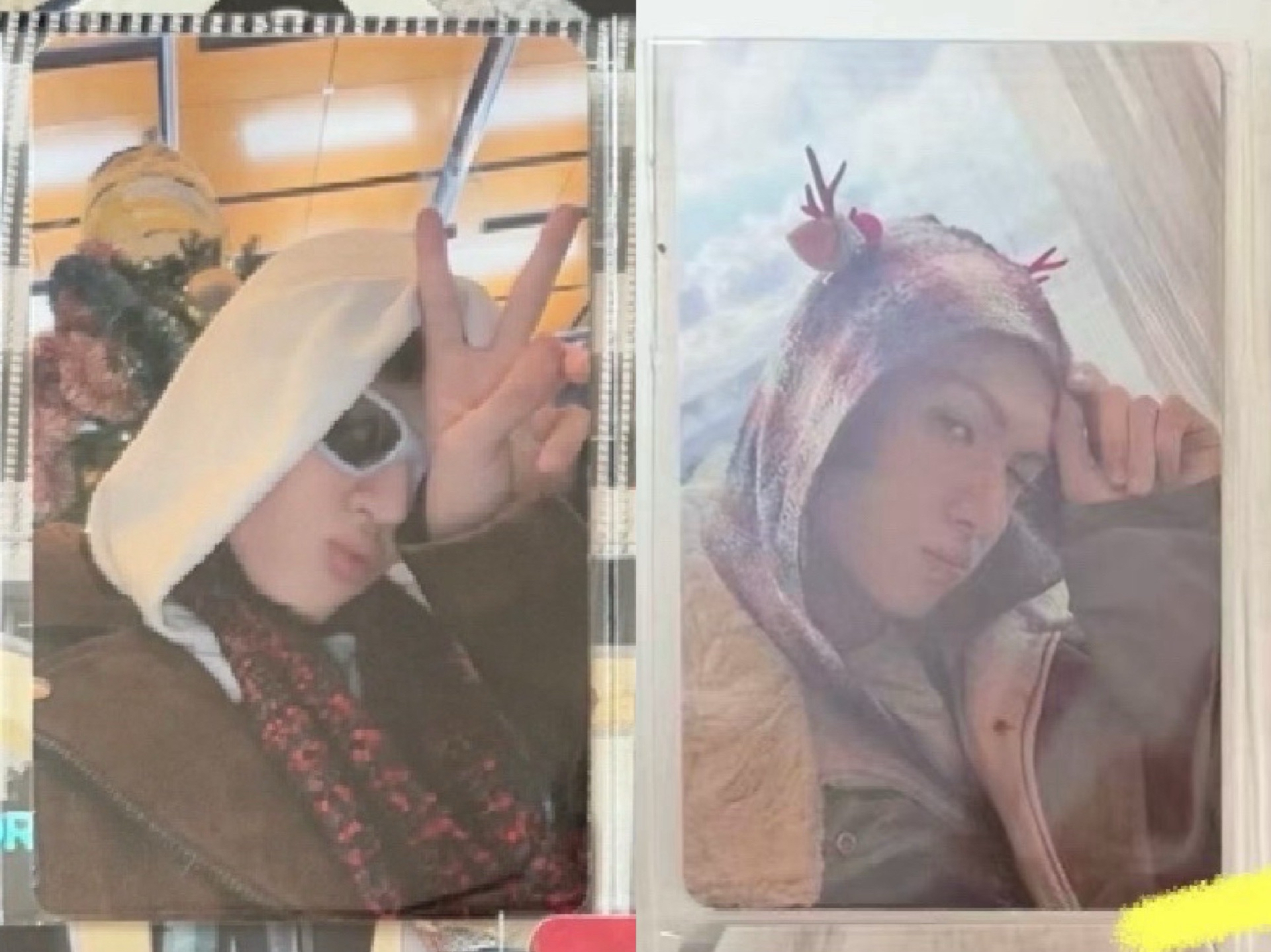 年末特典 K4馬+mp馬