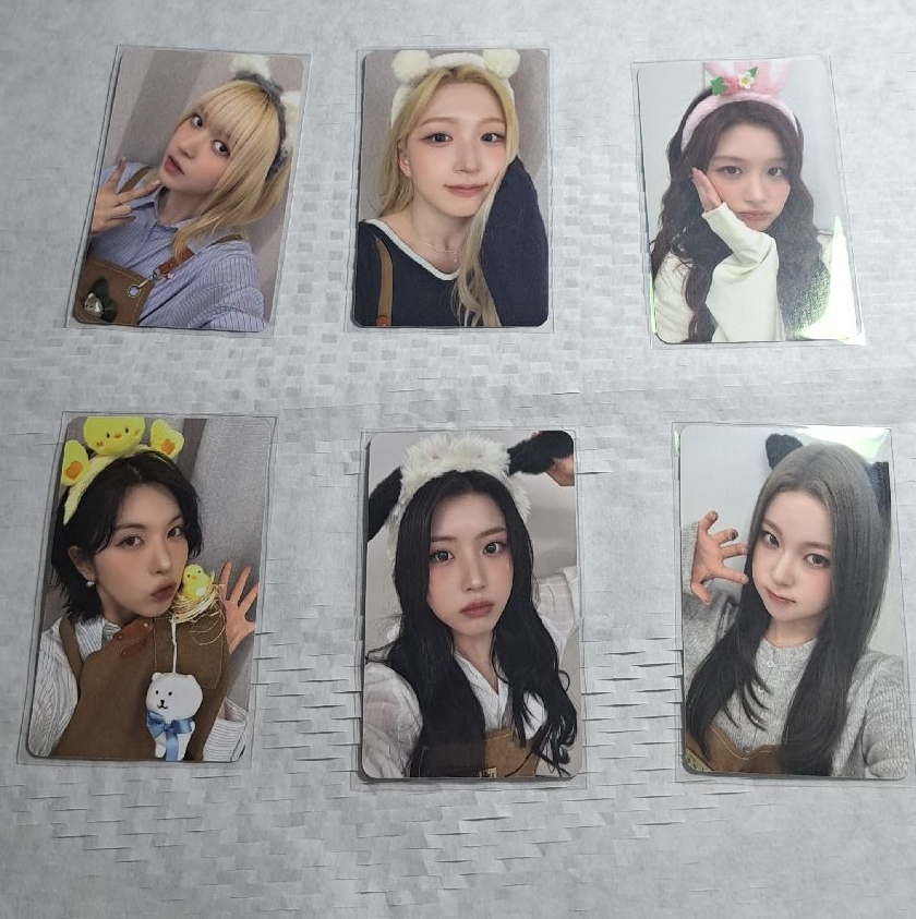 AM2.0 zoorista一套（含綁