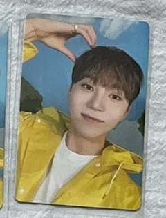 🍊熊耳朵寛🐻