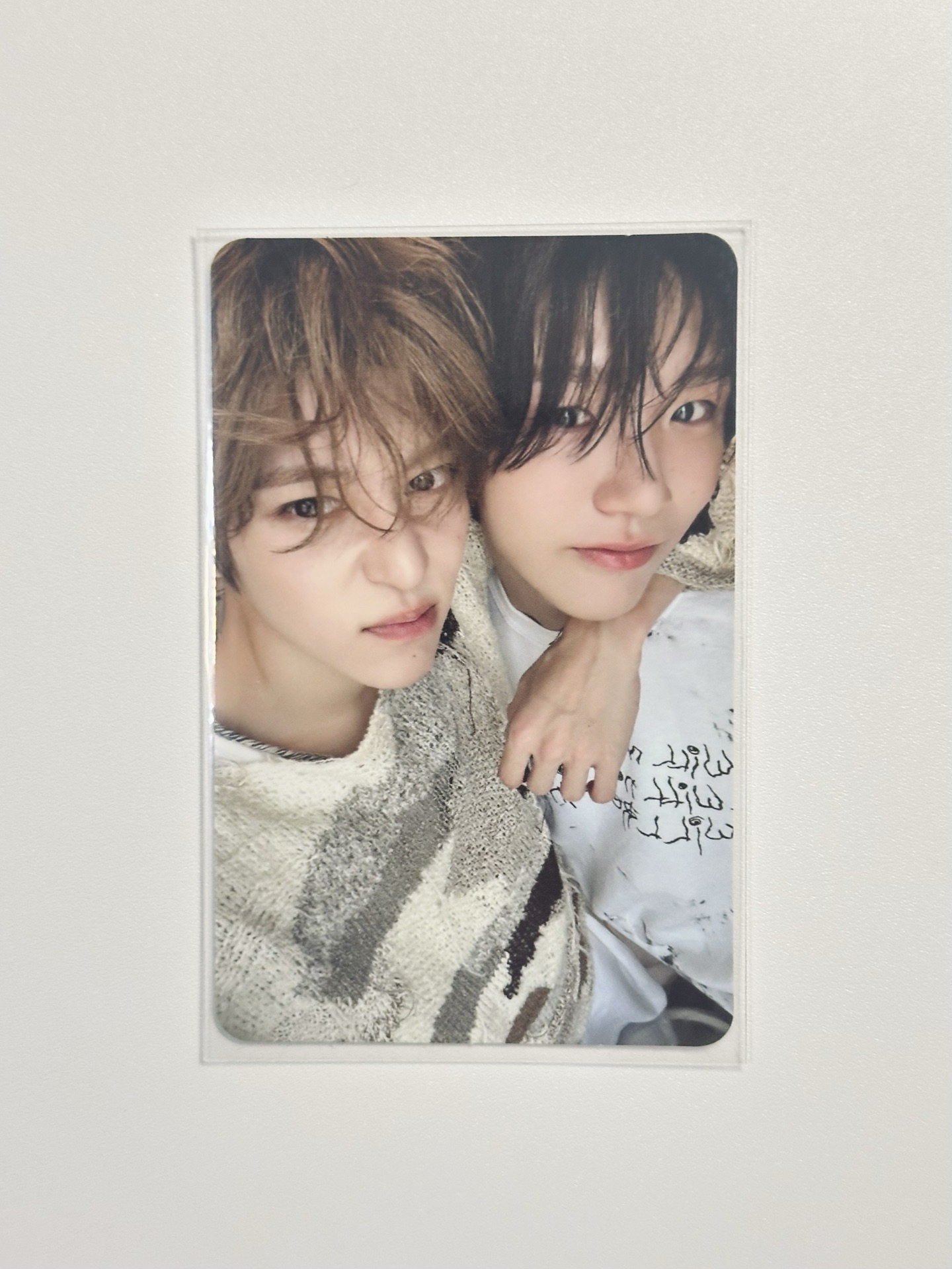 Steady雙人卡溫樹強制愛