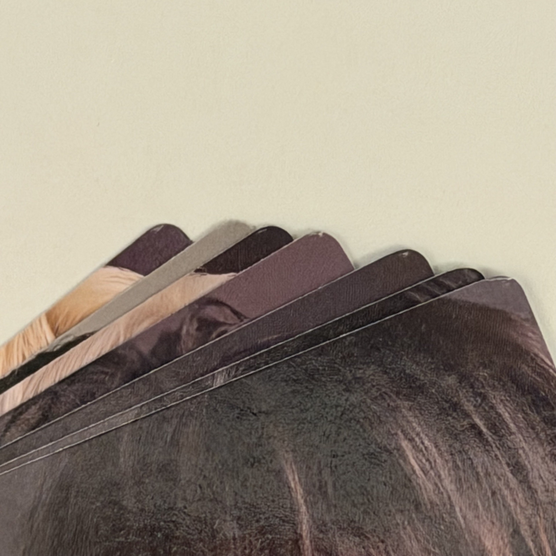 Dominate DVD 藍光版 小卡