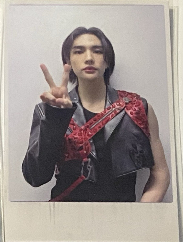 SKZ 樂星 電子專特典卡 辰