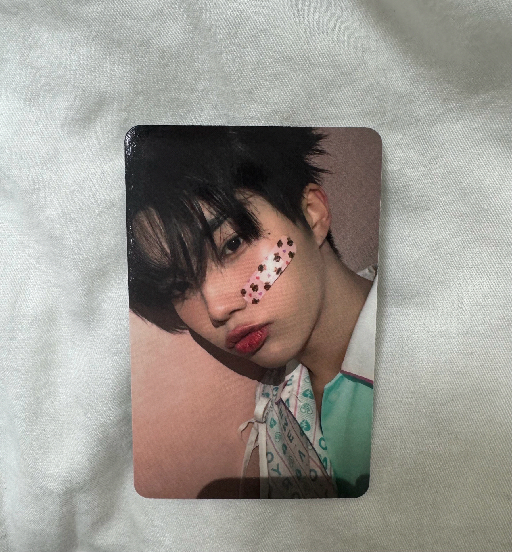 旭 迷五 am動物創可貼