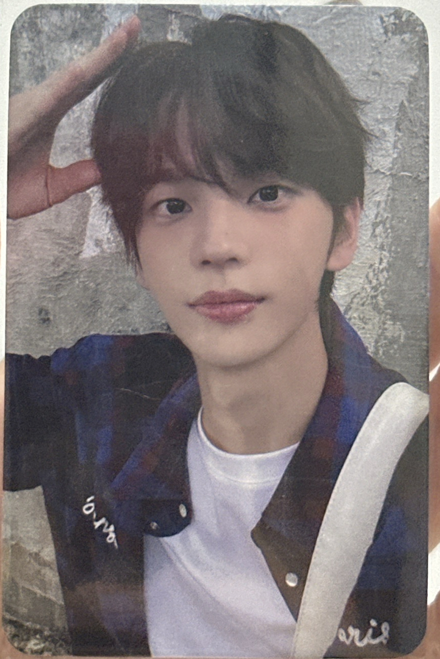 sw幸運卡狗耳申惟