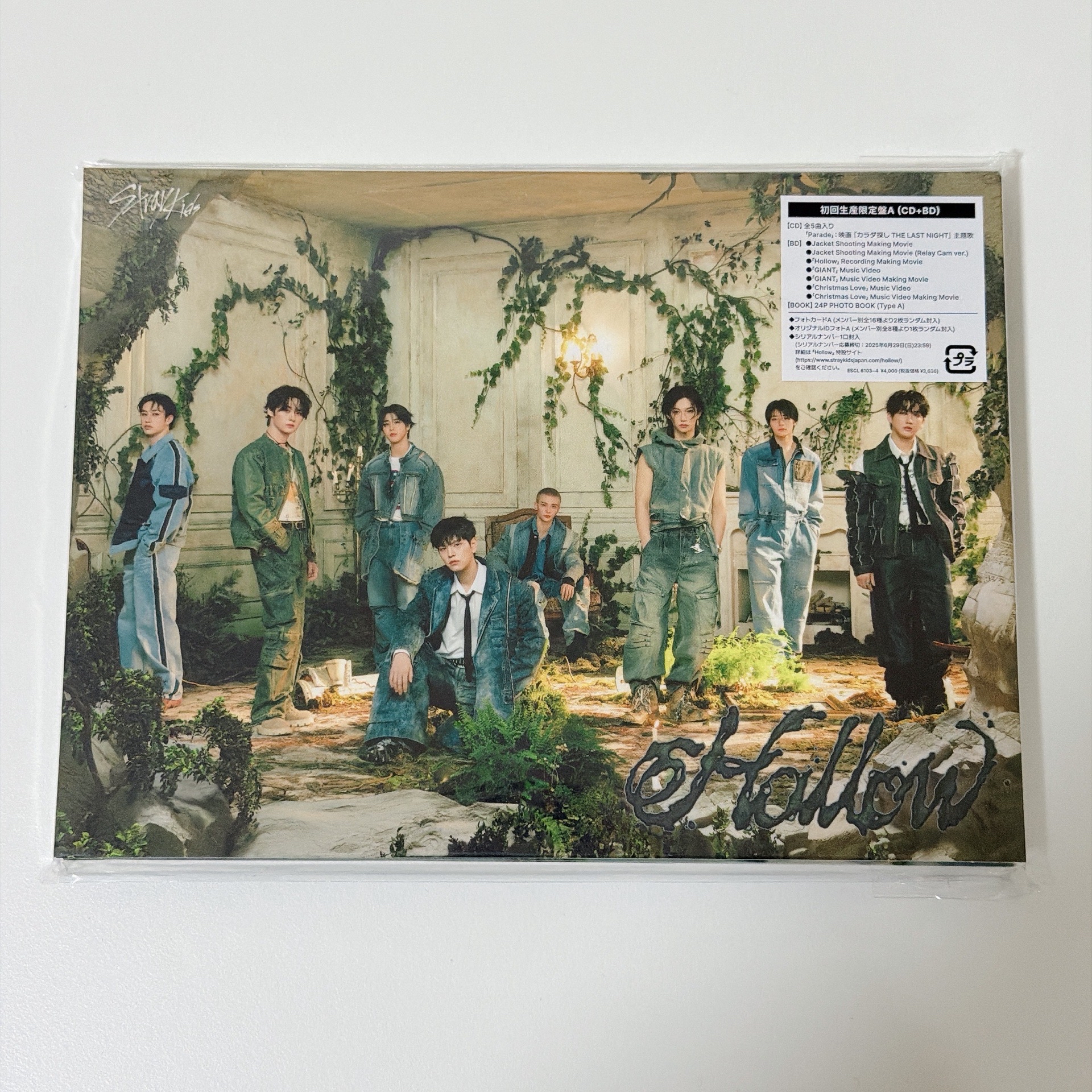 Hollow日專初回限定A