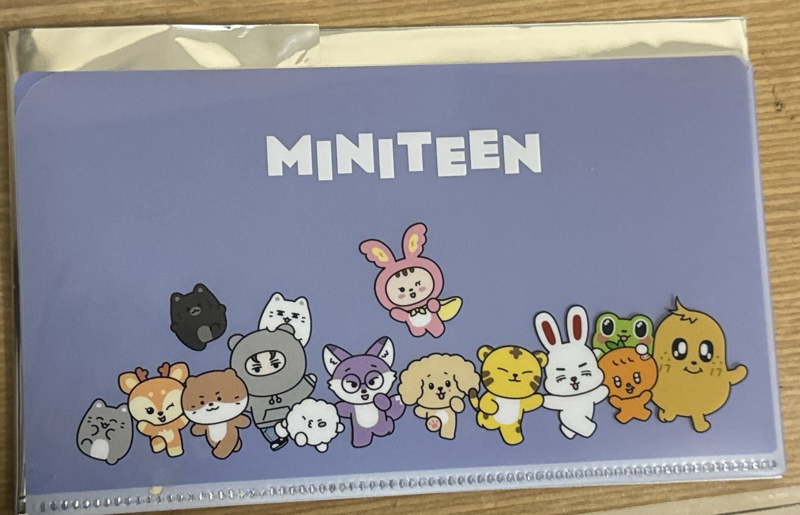 miniteen 咖啡資料夾