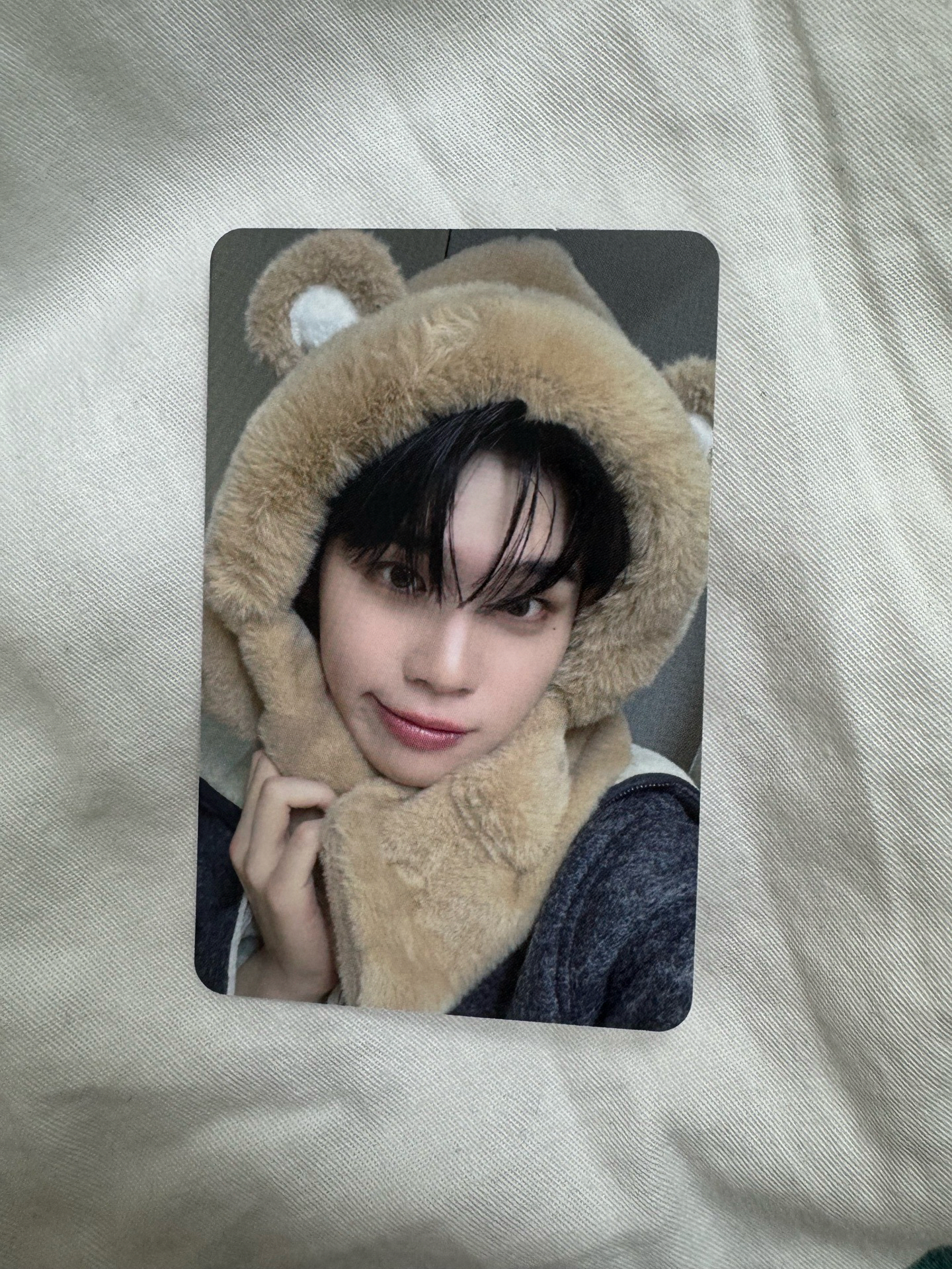 來 迷五 am6.0小熊帽子