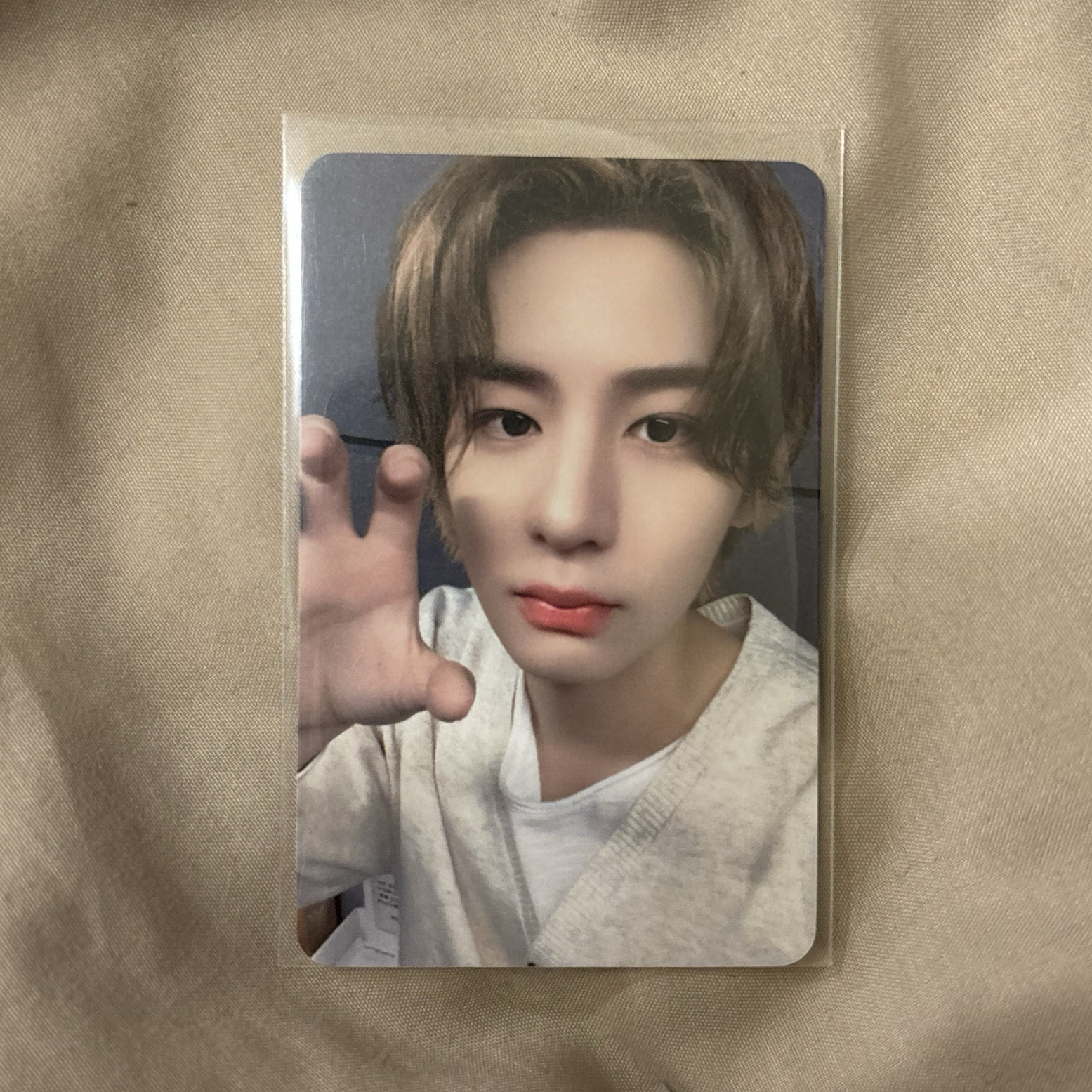 金桐儇可愛虎爪