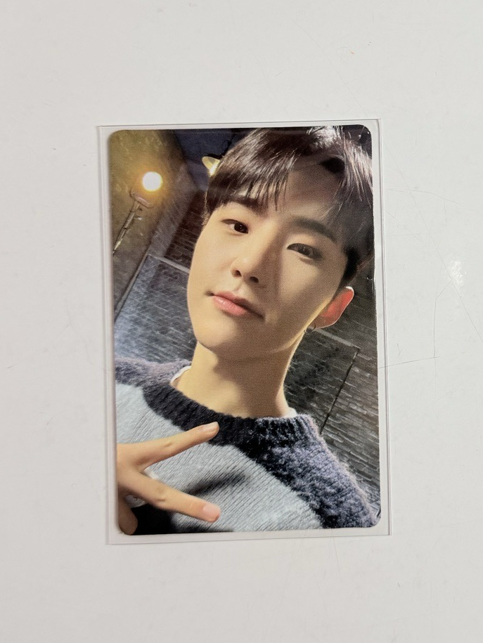 POL電影卡🐯·ฺ ᐝ. ⁺ ˚