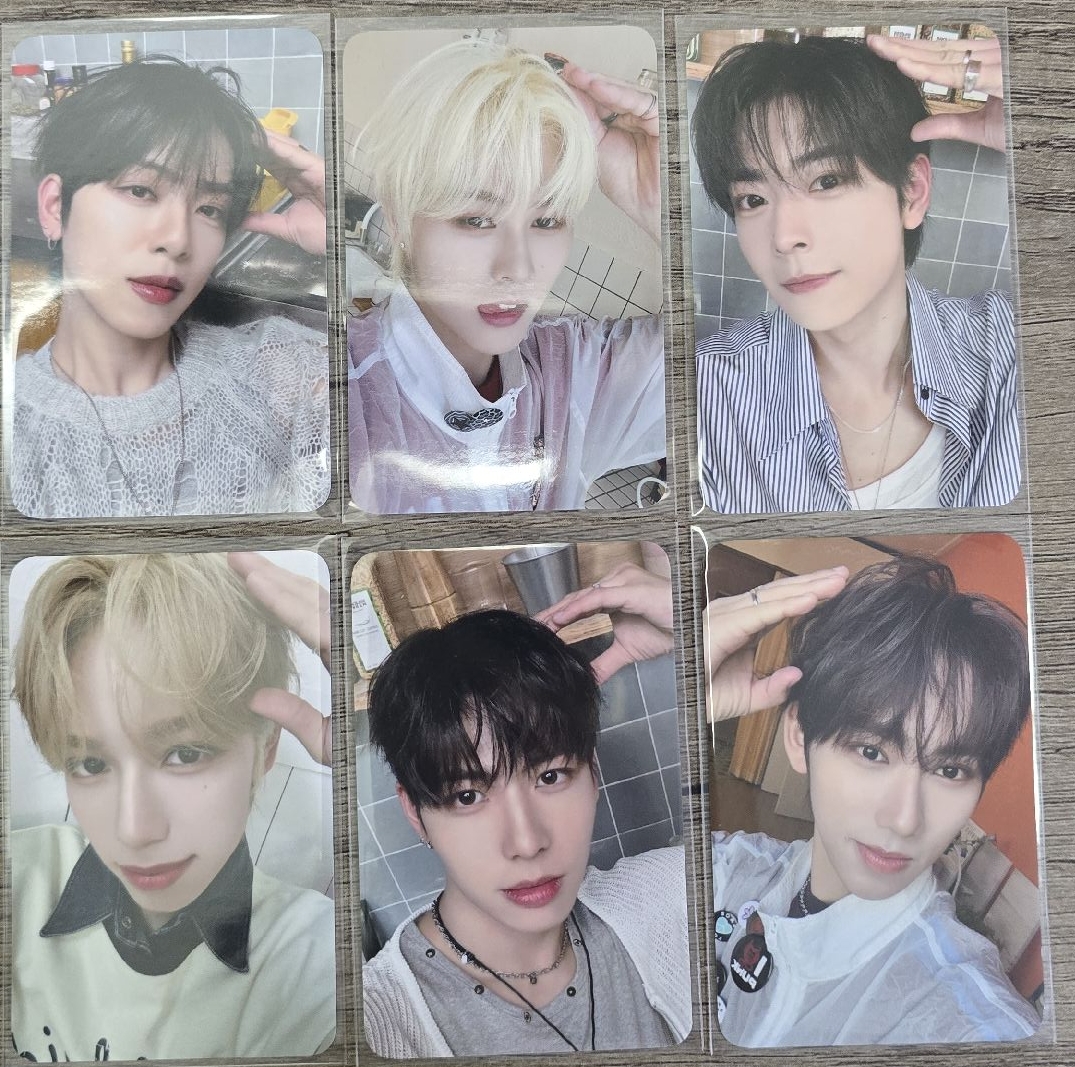 SEVENTOEIGHT EVERLINE 狗狗卡