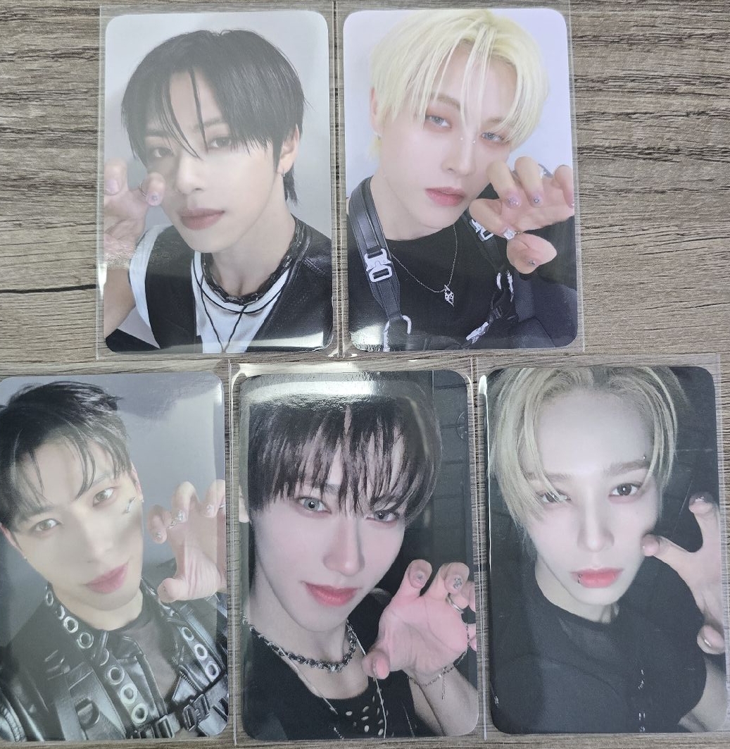 SEVENTOEIGHT EVERLINE 嗷嗚卡