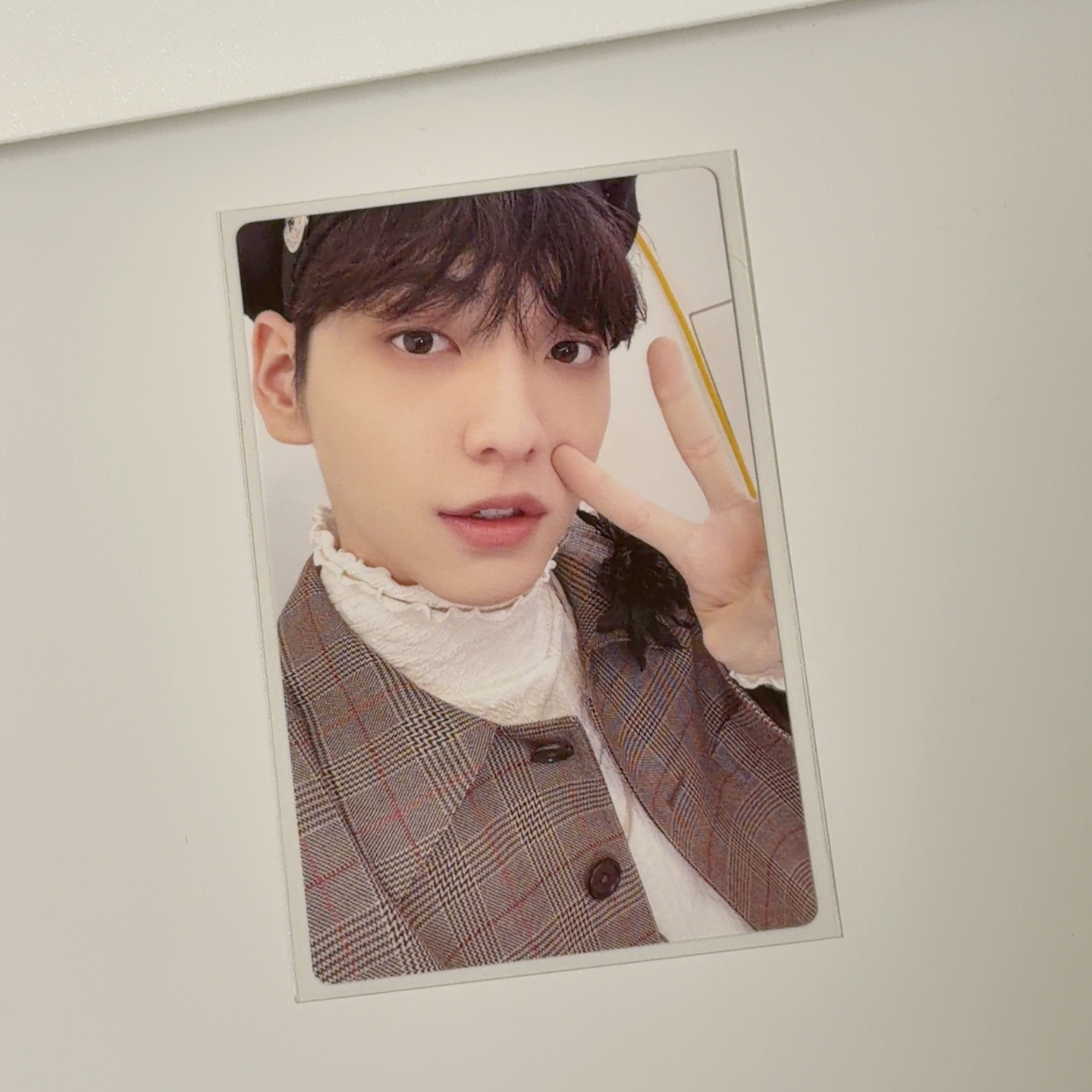 gbgb日專初回 貝雷帽彬🐰