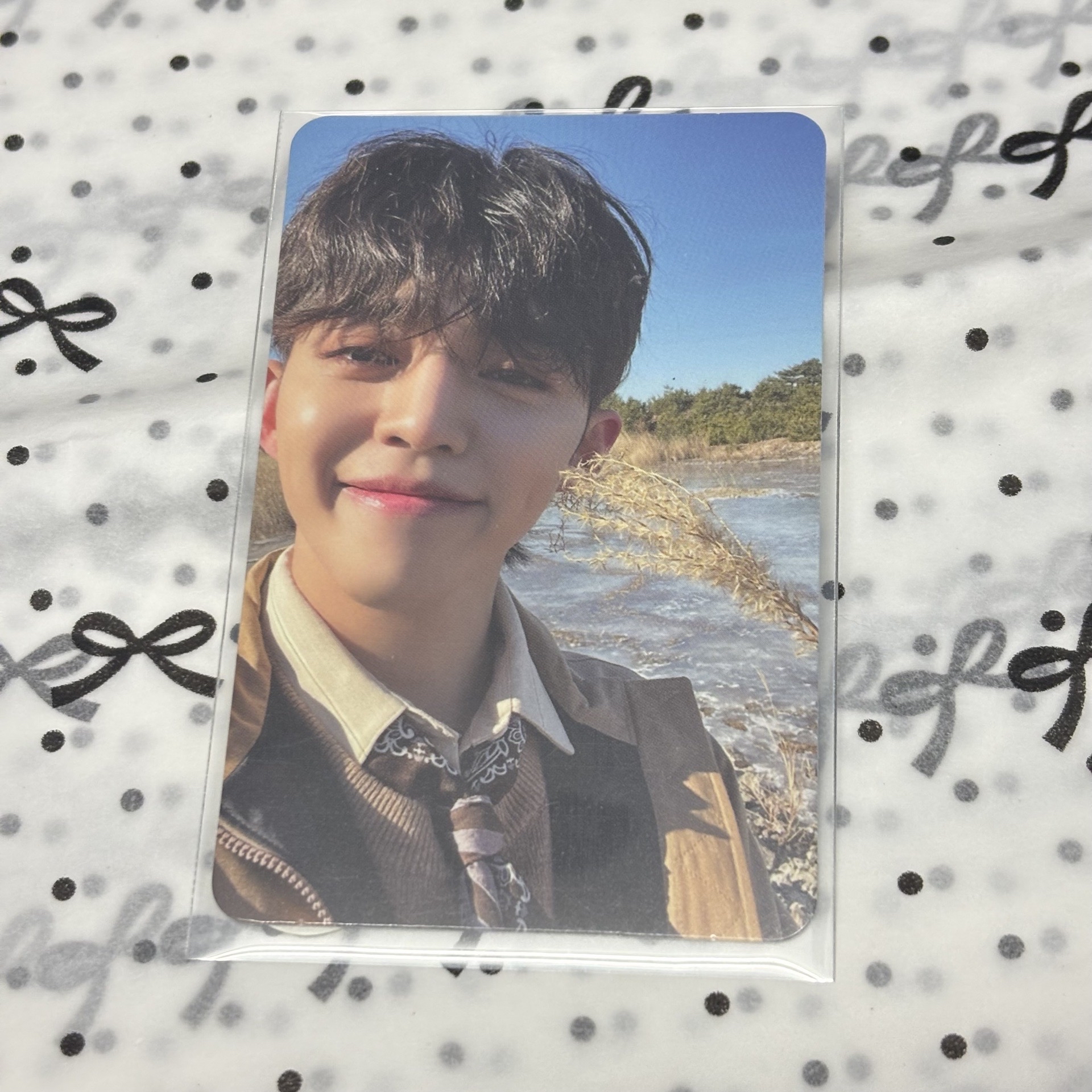 SEVENTEEN 正四 崔勝哲