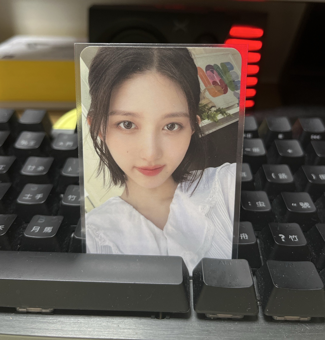 夏日寫真 周邊卡 固配卡